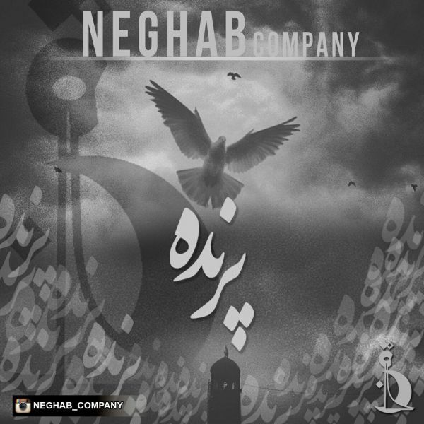 Neghab Company - Parande