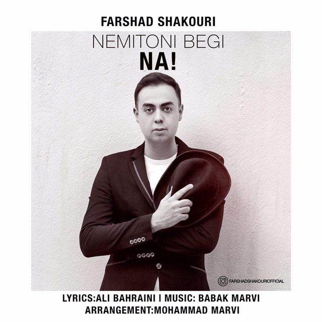 Farshad Shakouri - Nemitoni Begi Na