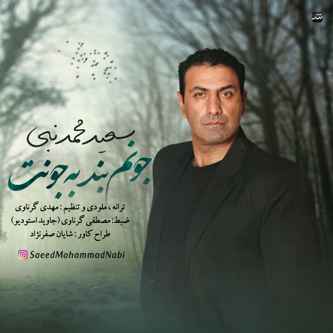 Saeed Mohammad Nabi - Joonam Bande Be Joonet