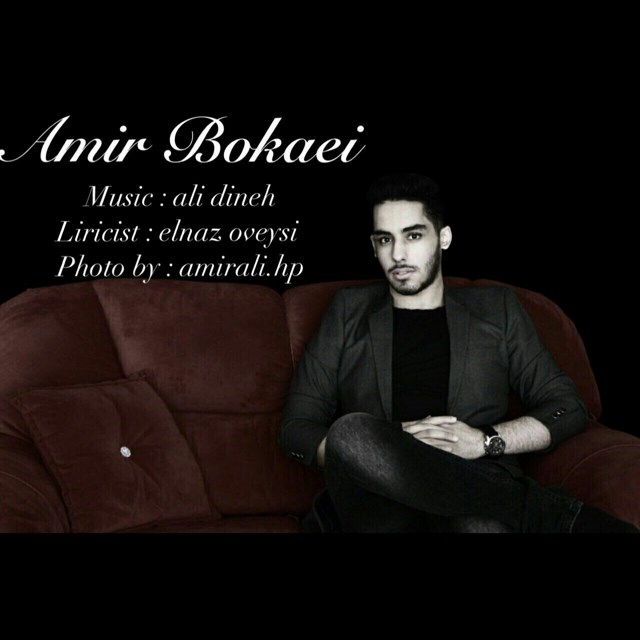 Amir Bokaei - Asheghi