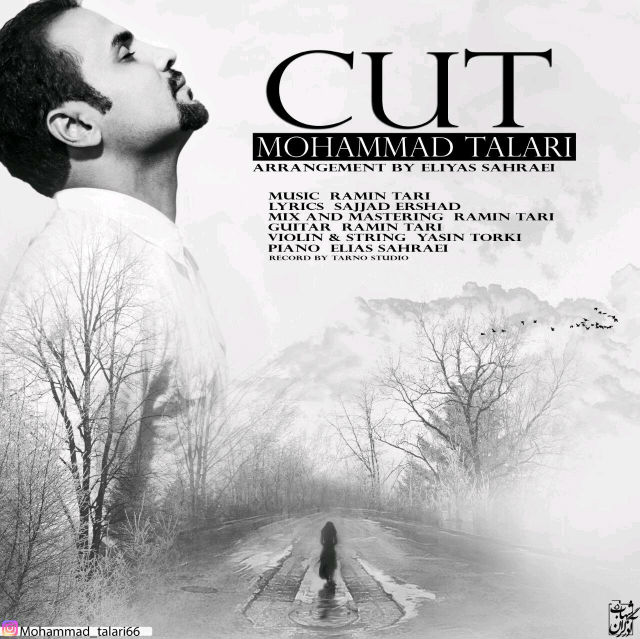 Mohammad Talari - Cut