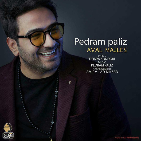 Pedram Paliz - Avale Majles ( Teaser Version )
