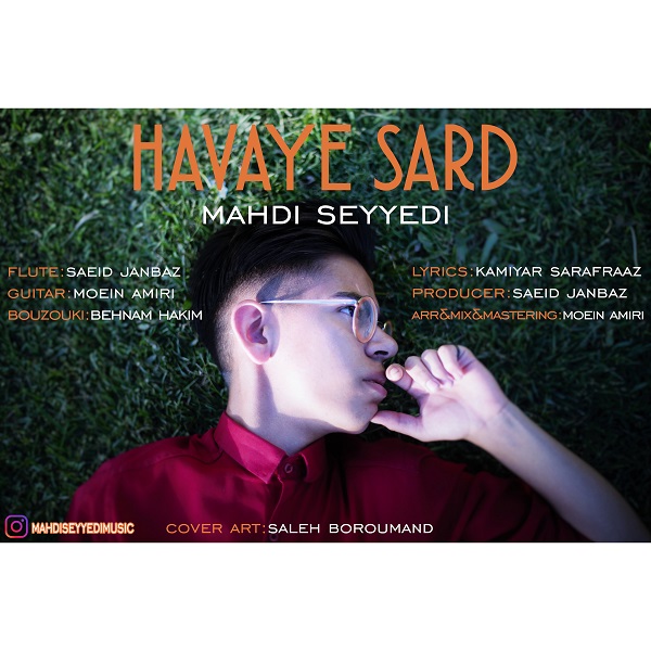 Mahdi Seyyedi - Havaye Sard