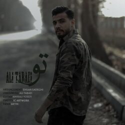 Ali Tabaei - To