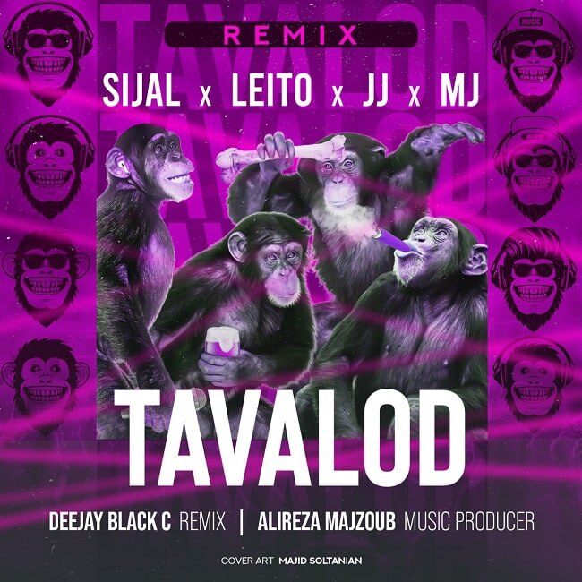 Dj Black C & Alireza Majzoub - Tavalod ( Remix )