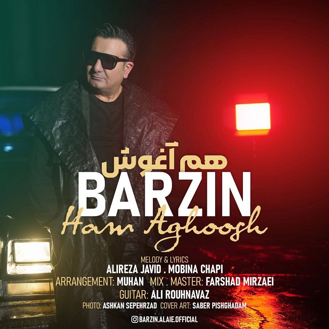 Barzin - Ham Aghoosh