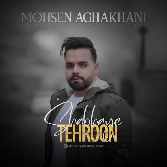 Mohsen Aghakhani - Shabaye Tehroon