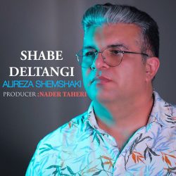 Alireza Shemshaki - Shabe Deltangi
