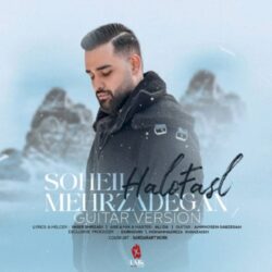 Soheil Mehrzadegan - Halo Fasl ( Guitar Version )