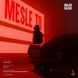 Majid Razavi - Mesle To