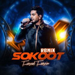 Farzad Farzin - Sokoot (Remix)