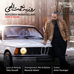 Roozbeh Nematollahi - Joone Delam