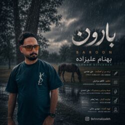 Behnam Alizadeh - Baroon