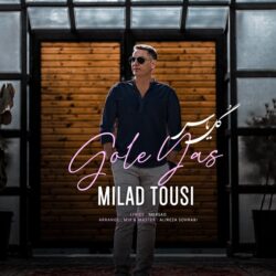 Milad Tousi - Gole Yas
