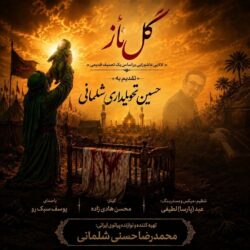 Mohammadreza Hasani Ft Yousef Sabokroo - Gole Naz