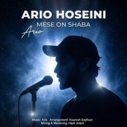 Ario Hoseini - Mese On Shaba