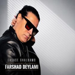 Farshad Deylami - Ehsase Ghalbamo