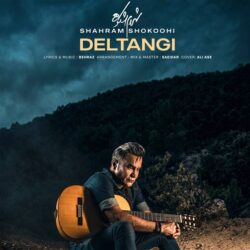 Shahram Shokoohi - Deltangi
