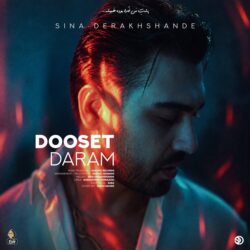 Sina Derakhshande - Dooset Daram