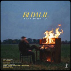 Sina Parsian - Bi Dalil